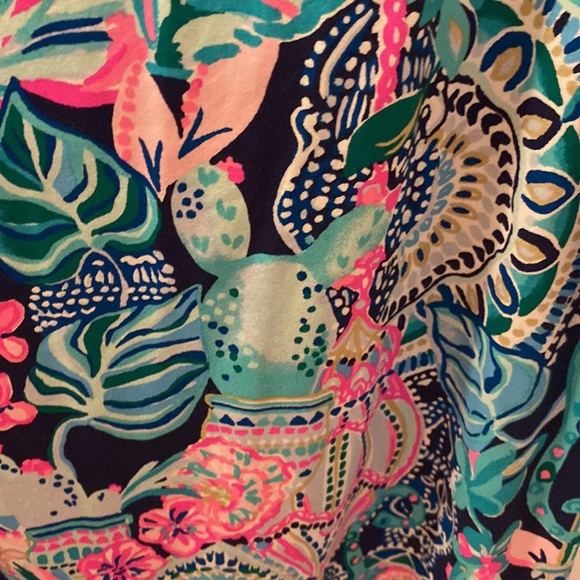 Lilly cactus dress.lookin sharp Sophie 50+ ruffle dress - Picture 2 of 5